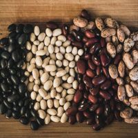 Dried Bean from 미국 supplied by Michigan Agricultural Commodities - Small Red 말린 일반 콩