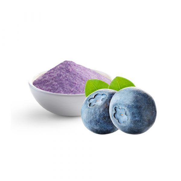 Blueberry Powder from 말레이시아 supplied by GFB FOOD SDN BHD - Powder 블루베리 가공품