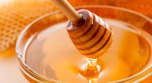 Organic Poultry Honey from Colombia supplied by FEDEAGROBATATAS (Federación Colombiana de Productores Agropecuarios y de Batatas) - Honey