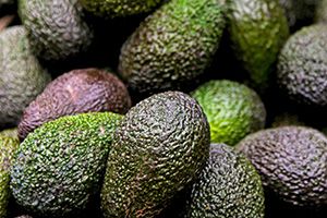 Fresh Avocado from 미국 supplied by Pueblo Fruits Inc - Greenskin 신선 아보카도