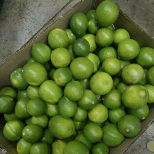 Lemon from India supplied by Arjun foods - Conventional Fresh Lemon