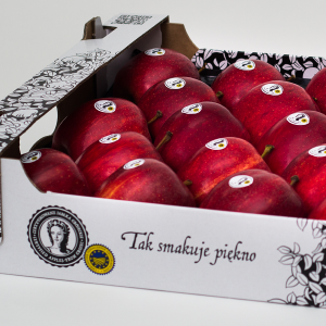 Fresh Whole Apple from 폴란드 supplied by JABLKO GROJECKIE - Gloster 신선 사과