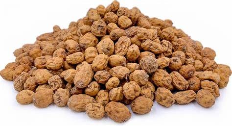 Dried Tiger Nut from 나이지리아 supplied by BOMBOK AND VAL INTERNATIONAL LIMITED - Dried 타이거너트