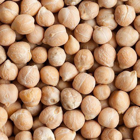 Chickpeas from 브라질 supplied by Samba Internacional (Brazil) - Whole 말린 병아리콩