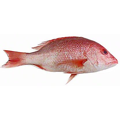 Whole Red Snapper from 그리스 supplied by Atlantikos S.A. - Whole (=In The Round) 냉동 스내퍼