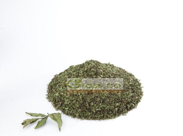 Mint from 이집트 supplied by Grass Co. Herbs and Spices - Tea Bag Cuts 박하