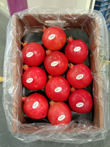 Pomegranate from India supplied by Kay Bee Exports - Whole Fresh Pomegranate