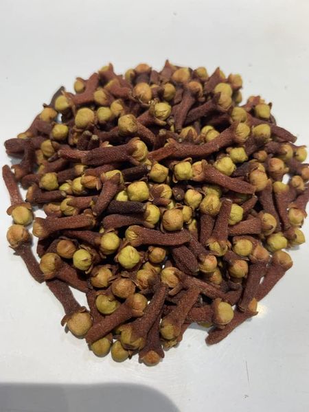 Whole Clove from 스리랑카 supplied by Ganam Distributors (Pvt) Ltd. - Dark Brown 통정향