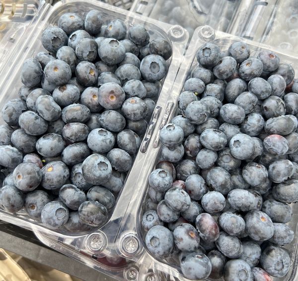 Blueberry from 조지아 supplied by Memoberry LLC - >18 mm 신선 블루베리