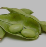 Soybean from South Africa supplied by Pakhouse Brands - Conventional Soybean