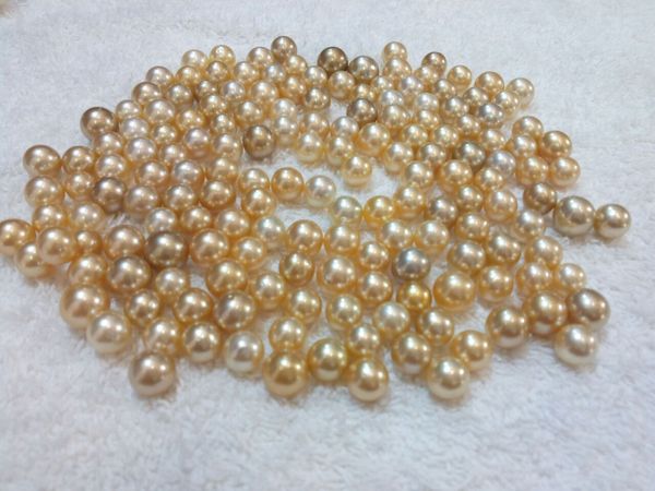 Sea Beads Pearl from 인도네시아 supplied by PT. Prabawana Lestari - Pearl