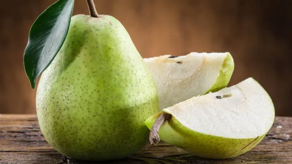 Pear from 벨기에 supplied by VERVAEKE - Carton Box (=Cardboard Box) 신선 배