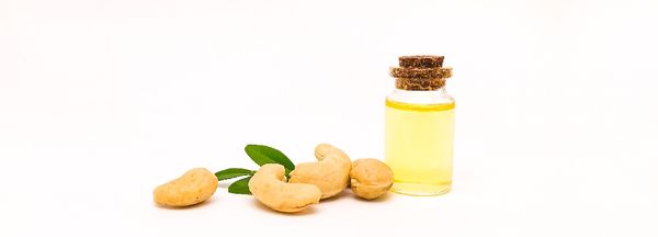 Cashew Nut Oil from Germany supplied by All Organic Trading GmbH - RBD (=Refined, Bleached, and Deodorized) Cashew Oil