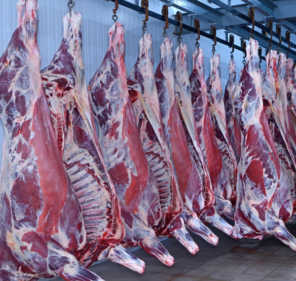 Beef from Kenya supplied by KenMeat Ltd - Without Head (=Headless) Fresh Whole Beef