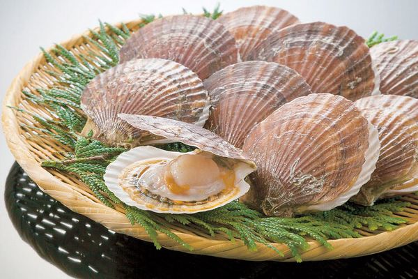 Scallop from New Zealand supplied by Wellington Trawling Seamarket Limited - Whole (=In Shell=Unshucked) Frozen Scallop