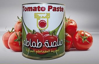 Tomato Paste from 이집트 supplied by Foodico - 신선 토마토