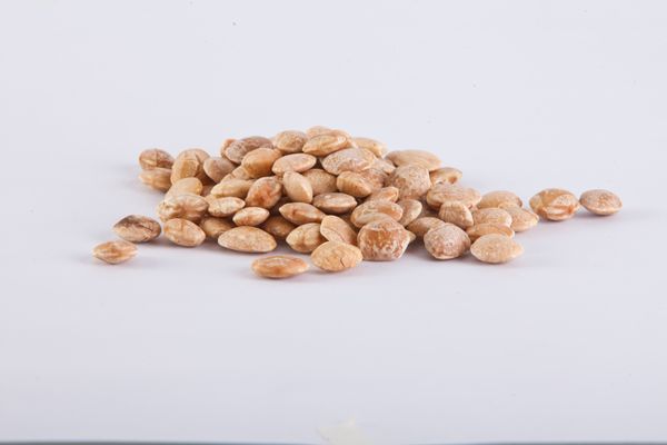 SACHA INCHI from 페루 supplied by Agritrade S.A.C. - Conventional 사차인치