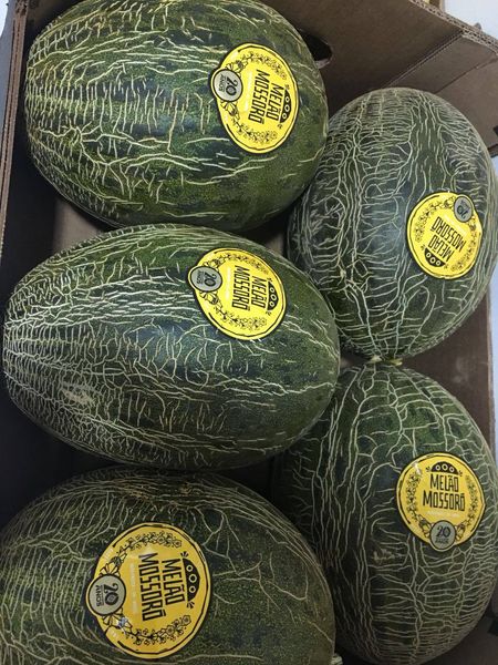 Fresh Watermelon from 브라질 supplied by Mata Fresca Ltda. - Melao Mossoro - Seedless 신선 수박