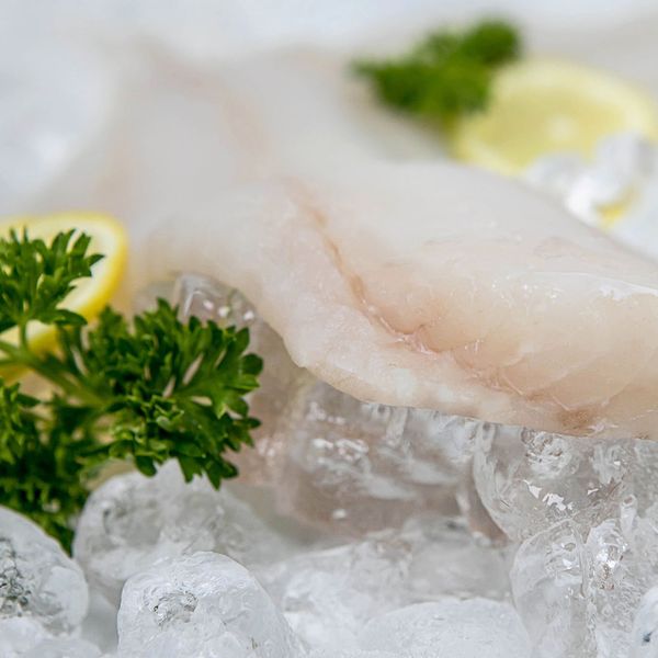 Cod from United Kingdom supplied by Collins Seafoods North East Ltd - Frozen - Sea Frozen Fresh Cod