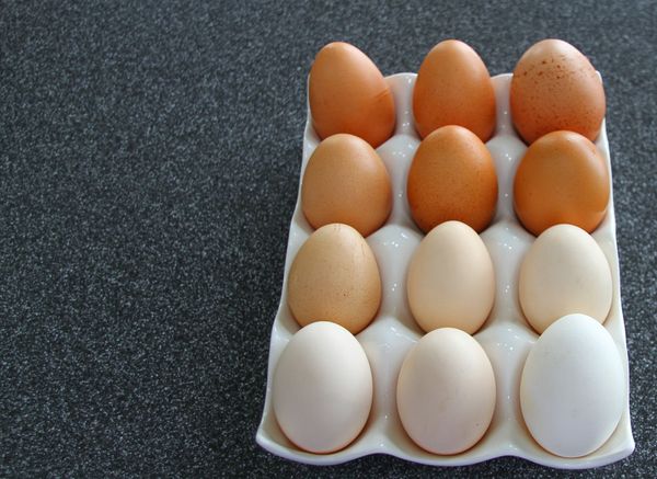 Chicken Egg from Ireland supplied by Featherfield Farm - White-Brown Chicken Egg