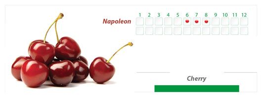 Fresh Cherry from 튀르키예 supplied by Tekasya Agricultural Products - Red 신선 체리