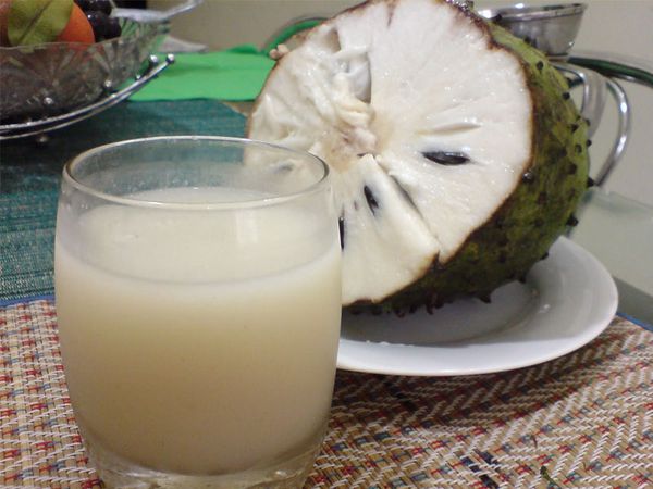 Soursop from 말레이시아 supplied by Puri Asli Resources - Puree 신선 사워솝