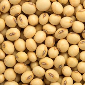 Soybean from 미국 supplied by Healthy Food Ingredients - Black 대두