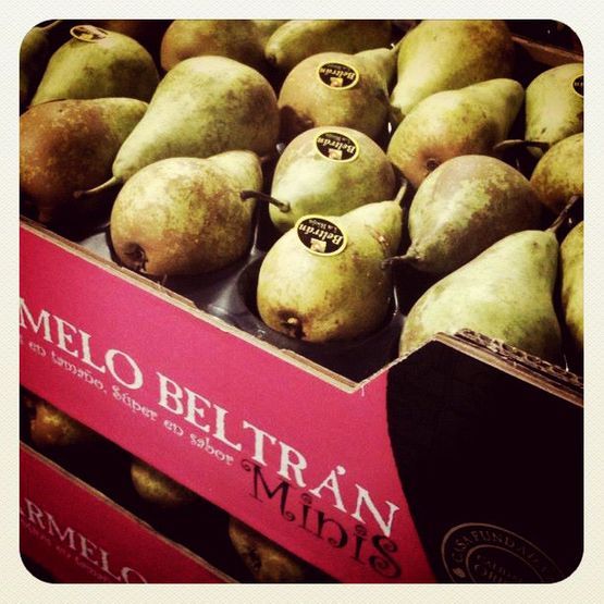 Fresh Pear from Spain supplied by Carmelo Beltran SL - Conference (=Conferencia=Conferance) Fresh Pear