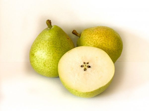 Pear - Beurre D'anjou from Netherlands supplied by Stoker Vogelaar - Carton Box (=Cardboard Box) Fresh Pear