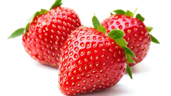 Strawberry from 베트남 supplied by Da Lat Ecofarm Trading Services Company Limited - Whole 신선 딸기