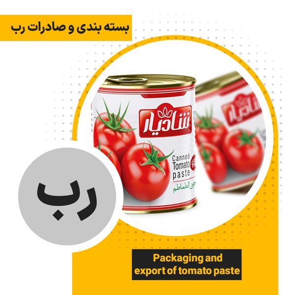 Tomato Paste from 이란 supplied by PayamTejarat Negahe Sabz International Trading Group - 페이스트 토마토 페이스트와 퓨레