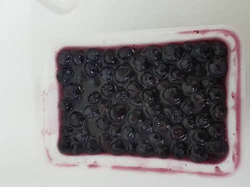 Frozen Blueberry Puree from Malaysia supplied by Vita Fruit Enterprise - Tub (=Bucket=Pail) Fresh Blueberry