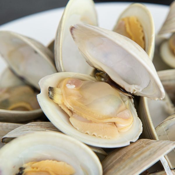Clam from 영국 supplied by Seasalter Shellfish (Whitstable) Ltd - Whole (=In Shell=Unshucked) 냉동 조개