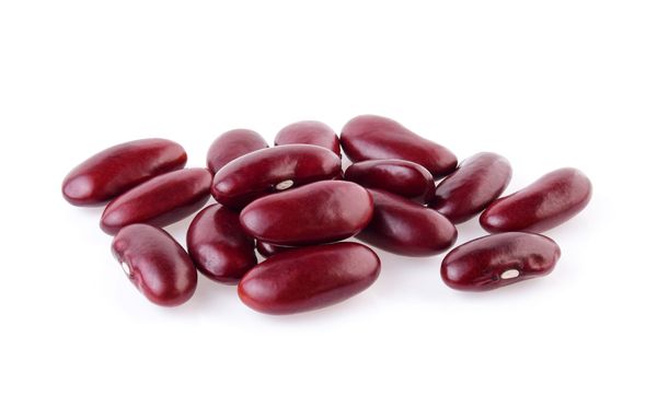 Kidney Beans from 미국 supplied by Aileen Quirk & Sons, Inc - 신선 말린 강낭콩
