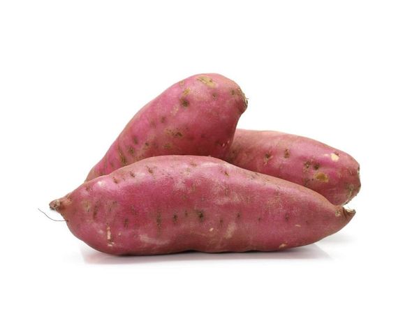 Sweet Potato from 포르투갈 supplied by TORRIBA, SA - Washed 고구마