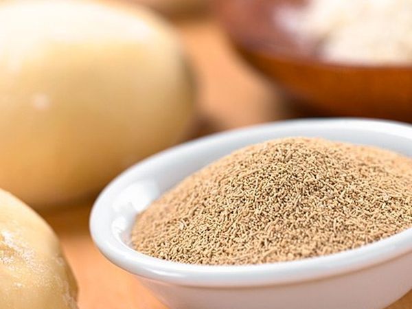 Dried Yeast from 나이지리아 supplied by Ekcel Farms Limited - Active 효모