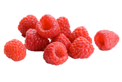 Raspberry from 스페인 supplied by El Pilonar SCA - Whole 신선 라즈베리