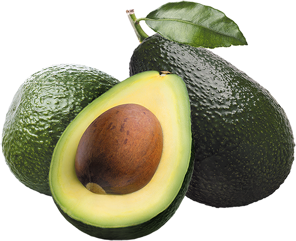 Fresh Hass Avocado from 뉴질랜드 supplied by Valic NZ Limited - Green 신선 아보카도