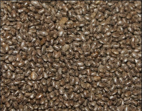 Chia Seeds from 미국 supplied by Coltura Foods - Black 치아 씨