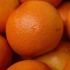 Orange from United States supplied by S Katzman Produce Inc - Bright Orange Fresh Orange