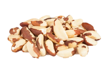 BRAZIL NUT from 페루 supplied by Agritrade S.A.C. - In-shell 브라질너트 알맹이