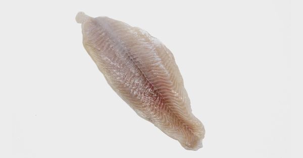 Catfish from 미국 supplied by Superior Catfish - Skinless (=Skin Off) 냉동 메기 통마리