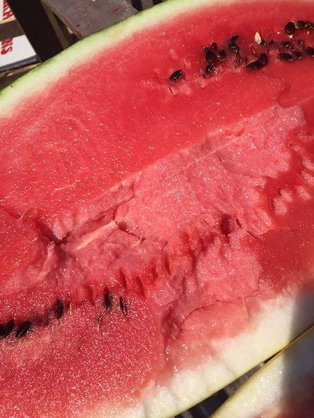 Fresh Watermelon from 그리스 supplied by OLGA KIZIRIDOU FRUIT EXPORT-GREECE WASSERMELONEN - Striped Green Rind 신선 수박