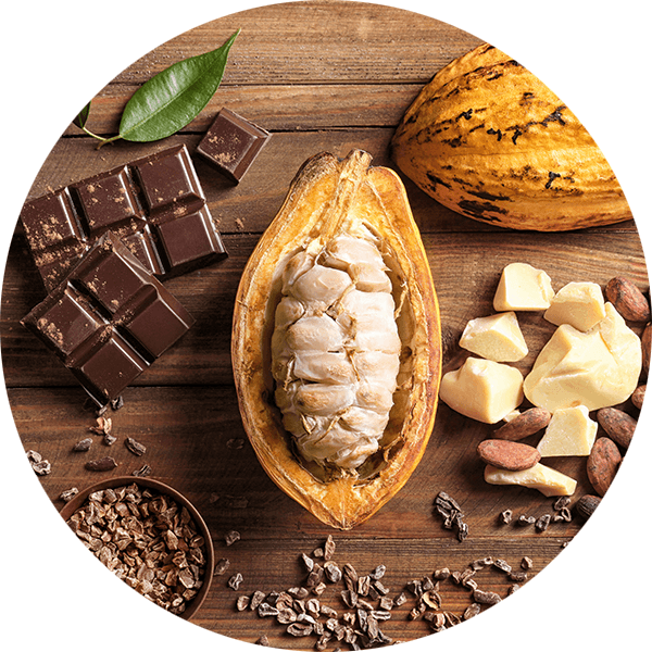 Cacao Beans from 네덜란드 supplied by Health Ingredients Trading BV - Natural 코코아콩