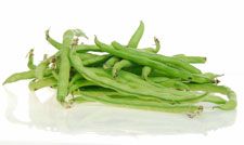 Beans from 스페인 supplied by Soltir - Green Bean 말린 일반 콩