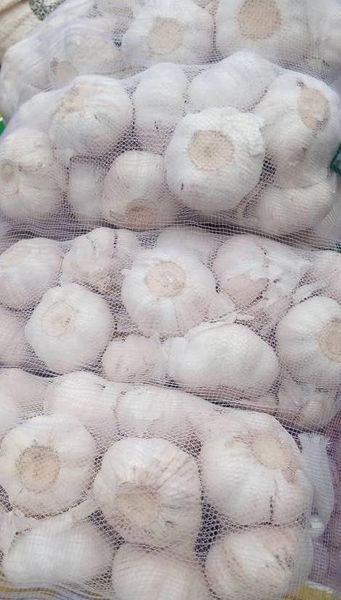 Garlic from 나이지리아 supplied by Nuel Wallace Global Business Limited - 저장됨 신선 마늘