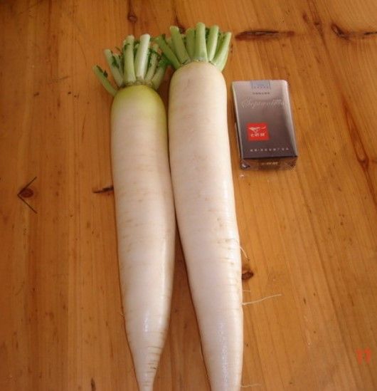 White Radish from 중국 supplied by Xiamen Green Field Food Industrial Co., Ltd. - Medium 무