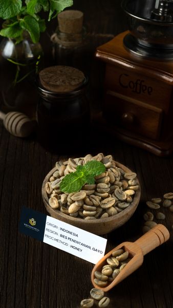 GAYO ARABICA HONEY from 인도네시아 supplied by Boymaxwell Indojaya Grup Ltd. - 상급 품질 생원두