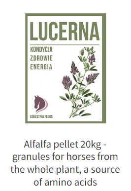 alfalfa from 폴란드 supplied by P.H.U Masters Polska Pasza dla koni S.C. - For Feed 알팔파