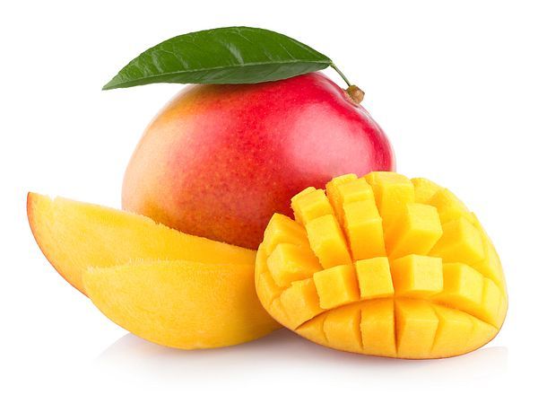 Mango from 에콰도르 supplied by Exbanfruit S.A. - Whole 신선 망고